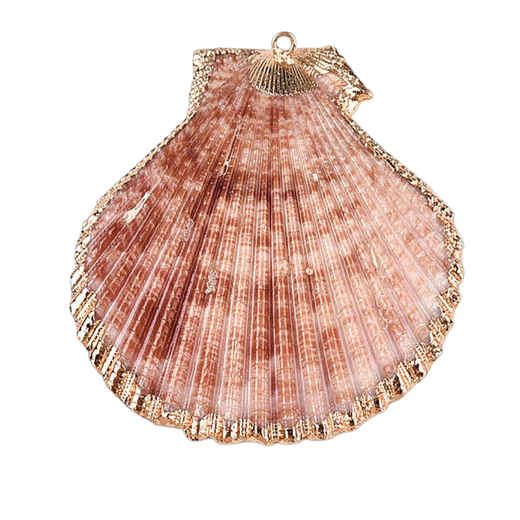 Shell Pendant Pink