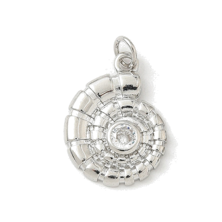 Silver Spiral Shell
