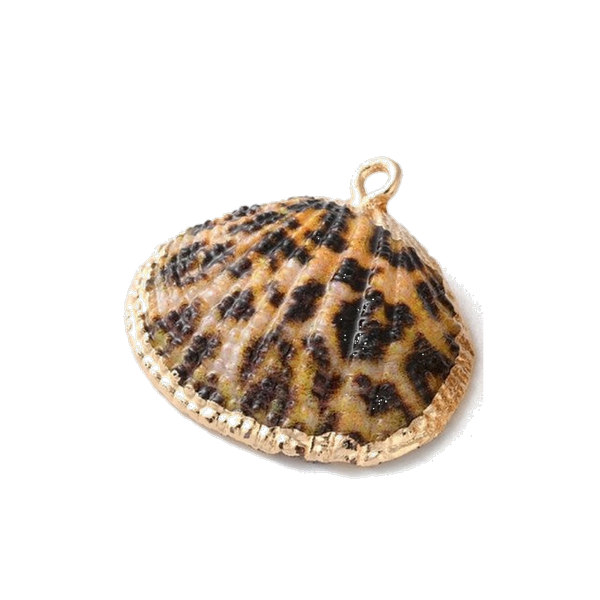 Cheetah Shell