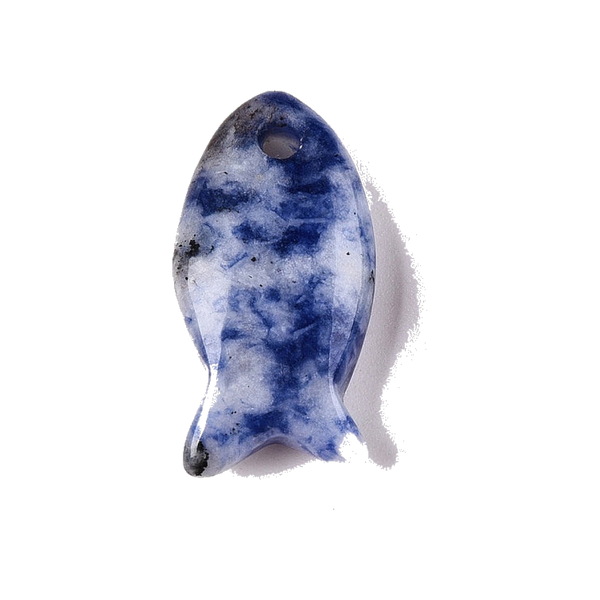 Blue Spot Jasper Fish