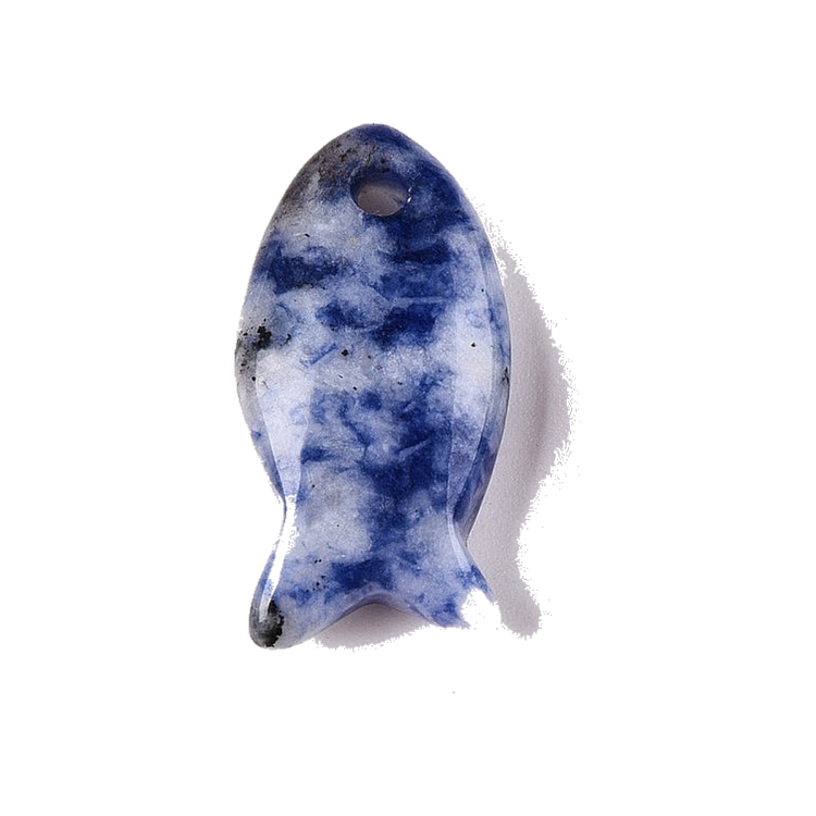 Blue Spot Jasper Fish