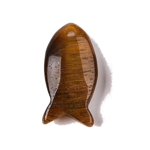 Tiger Eye Fish