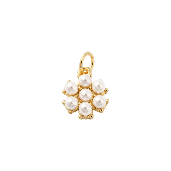 Pearl Daisy