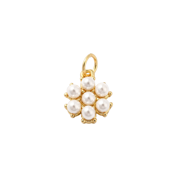 Pearl Daisy
