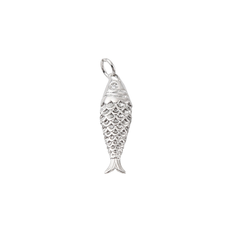 Silver Fish