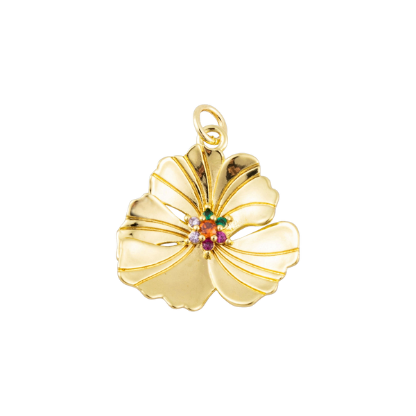 Hibiscus