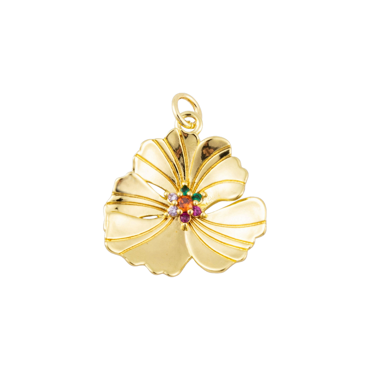 Hibiscus
