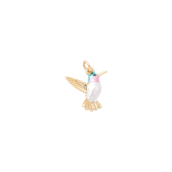 Humming Bird