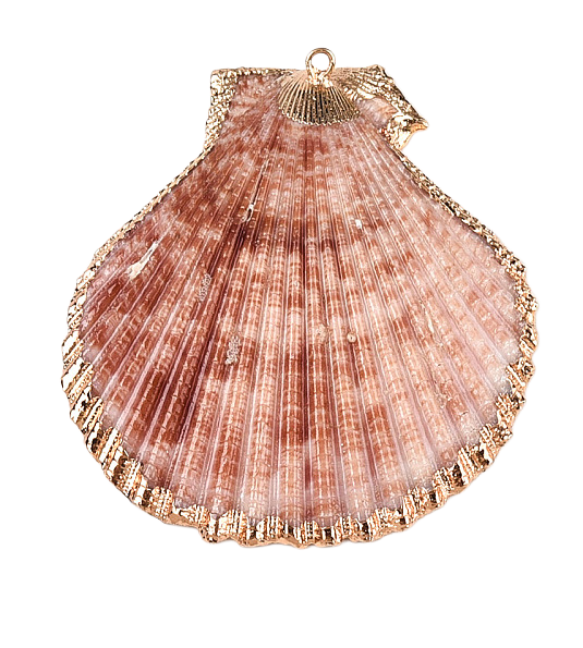 Natural pink shell pendant with a ribbed texture and a gold-tone electroplated edge and hanging loop.