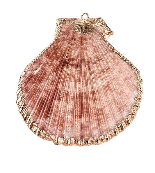 Natural pink shell pendant with a ribbed texture and a gold-tone electroplated edge and hanging loop.