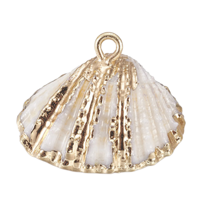 White shell pendant featuring a natural scallop shell with polished gold-tone metal trim along the ridges and a top loop.